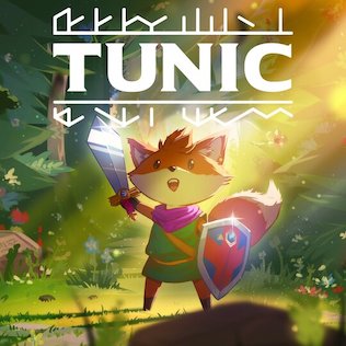 Jaquette de Tunic