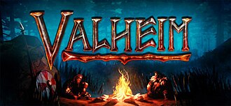 Jaquette de Valheim